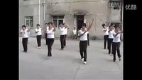 广场舞蹈视频大全 小苹果筷子兄弟 mv原版广场舞 《火苗小苹果》