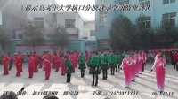 杨门广场舞新天仙配.5连跳