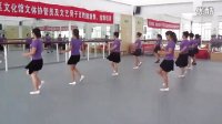 厦门海沧海福广场秀秀广场舞学跳前面的那个姑娘