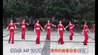 最新广场舞拜新年广场舞蹈视频大全 广场舞教学 广场舞日不落