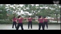 2013周思萍广场舞专辑 广场舞教学 广场舞蹈视频大全-冰河时代