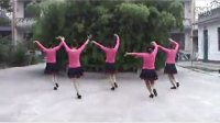 健身舞教学视频大全 广场舞视频下载 我们村里的人
