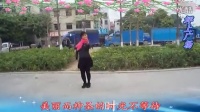 2014最新广场舞蹈视频大全 广场舞_快乐崇拜