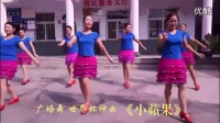 最新小苹果广场舞教学视频
