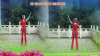 小苹果筷子兄弟mv原版 广场舞教学视频