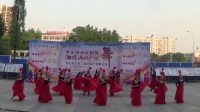 振兴队青山区2017年5月广场舞比赛