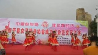新干俏佳人青铜广场舞蹈变队形想西藏