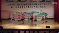 广场舞（梦高原）滨浦一居委舞蹈队表演