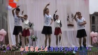 17普定县化处镇化新新区王松与吴雅丽婚礼舞蹈（草原情歌）