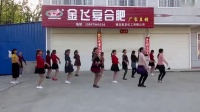 姐妹们学跳广场舞《情火》简单32步  17人集体舞