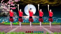河北青青广场舞《十五的月亮》附背面演示教学