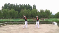 邯郸学步桥新月广场舞三月里的小雨