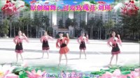 可爱玫瑰花广场舞【DJ唱天籁】附分解动作 编舞：可爱玫瑰花