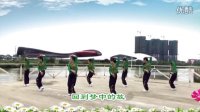 卢姨广场舞让我们回去吧广州番禺紫晶舞蹈队学舞（编舞：応子）