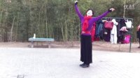 紫竹院广场舞——问花