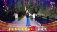 北京红苹果广场舞 又见雨夜花（红苹果演示）