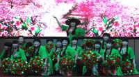 龙湖东方舞蹈队《茶香中国》--第二届“五洲佳豪杯”广场舞大赛