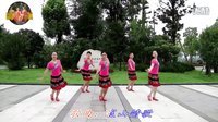 何庆广场舞《崀山情歌》附教学视频