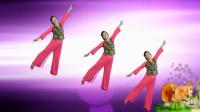 广场舞中三基础舞步分解教学 最简单的学跳广场舞视频