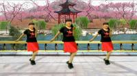 舞动健康广场舞水兵舞《水月亮》中老年健身舞蹈