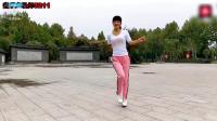 2017, 风靡大江南北最新最流行的广场舞