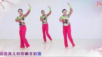 十分钟广场舞视频最新广场舞教学视频