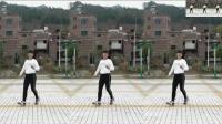 广场舞鬼步舞视频大全初学者 紫蝶广场舞鬼步舞专辑 错误的爱广场舞鬼步舞