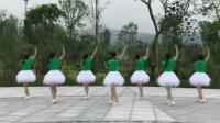 中国美广场舞分解动作 有教广场舞的视频吗 广场舞好好学习