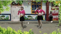 两位农村女人开心的现代广场舞《老婆最大》