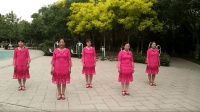 欣赏, 朝霞舞蹈队表演的广场舞《山谷里的思念》