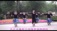 北京双榆树公园缘梦圆广场舞 广场舞 快四步舞曲 动感小子