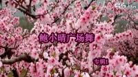 鲍小晴广场舞8 双人对跳 桃花朵朵开