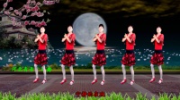 河北青青广场舞《十五的月亮》附背面演示教学, 回味经典, 温馨优美, 好学好看