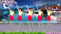 最新热门舞曲广场舞《夜之光》动感优美, 清新时尚, 32步好学好看, 河北青青广场舞