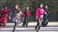 紫竹院广场舞——大姑娘美，两位老师领舞，队员跟跳