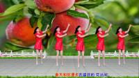 网络神曲广场舞《小苹果》动感带劲！16步好学好看