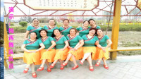 渭南梅西广场舞《雪域赞歌》简单藏族舞