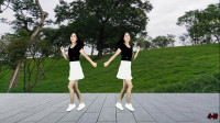 草原情歌广场舞《歌在飞》最新24步鬼步舞简单好看易学