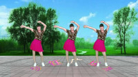 广场舞《最炫民族风》简单32步，好听的歌，演唱凤凰传奇
