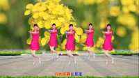 经典老歌广场舞《花蝴蝶》32步