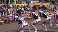 阿波舞是日本最有特色的舞蹈之一，来看看怎么样？堪比中国的广场舞
