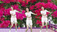 醉美民族风广场舞《凤凰花开》，动感活泼，好多人都在跳的舞！