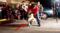 男子带狗狗跳广场舞，狗狗的表现太惊艳了，镜头记录全过程