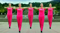 合肥庆庆广场舞《灵灵》只需36步，轻松减肥瘦身