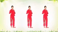 简单易学广场舞视频《婆婆也是妈》 2019热门舞蹈视频