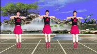 2019最热广场舞《姑娘我爱你》简单易学舞蹈教程
