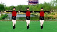 广场舞《中国丈母娘》节奏欢快动感，简单又好看