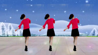 广场舞《又见雪花飞》最新32步DJ版 简单易学 优雅大气有教学