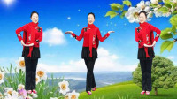 中国广场舞《东北的冬东北的情》经典秧歌舞