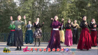 紫竹院广场舞《蓝色天梦》，编舞美姿依然老师